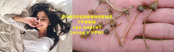 дмт Армянск