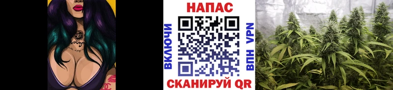 Шишки марихуана план  Купить где  Ефремов 